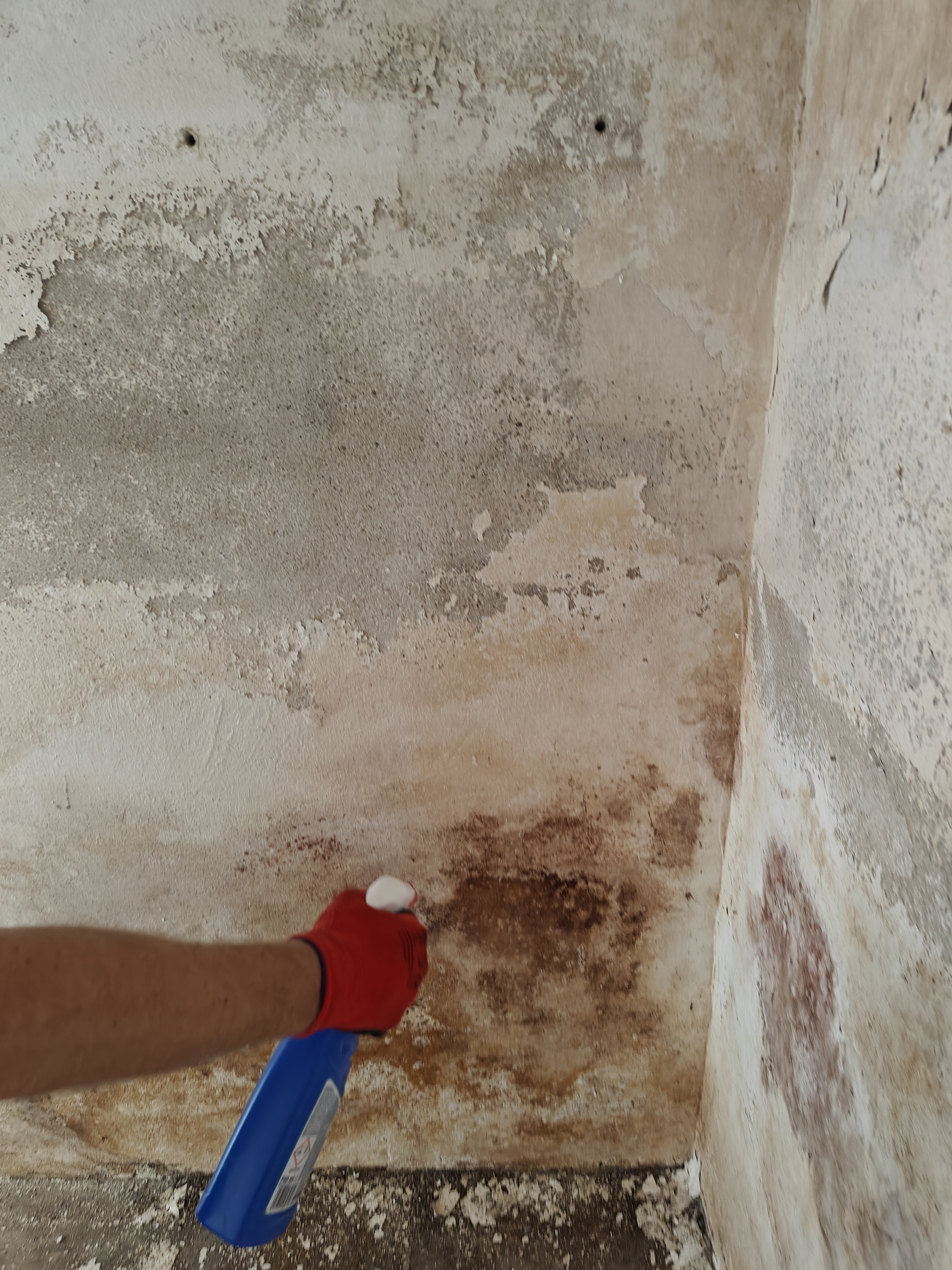 Schimmelentferner in aktion